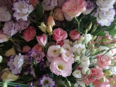 arka plan için renkli çiçekler.