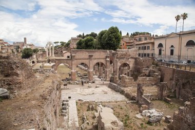  Foro romano, Roma, İtalya