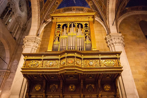 Вид Орган Собора Лукки Вид Изнутри Каттедрале Сан Мартино Собор — стоковое фото