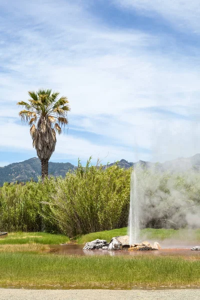 Old Faithful Geyser Calistoga Napa Valley California — Stock Photo, Image