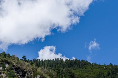 dağ orman ve gökyüzü ile