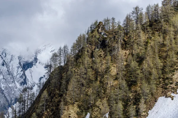 Steile bergen en bomen — Stockfoto