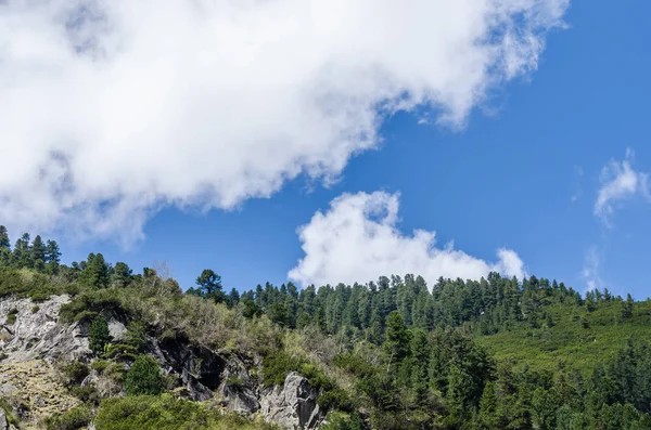 Bäume Berg und Himmel — Stockfoto