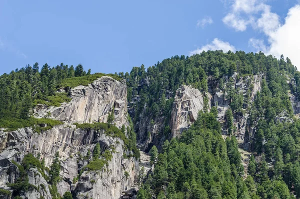 Гора зі скелями і деревами — стокове фото