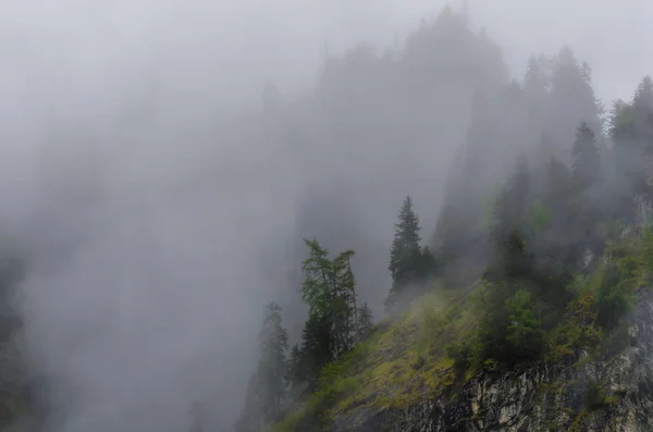 Dichter Nebel am Berg — Stockfoto