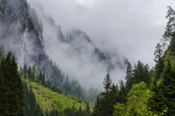 Nebel im Tal und in den Bergen — Stockfoto