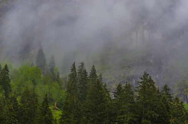 Tritte im Nebel — Stockfoto