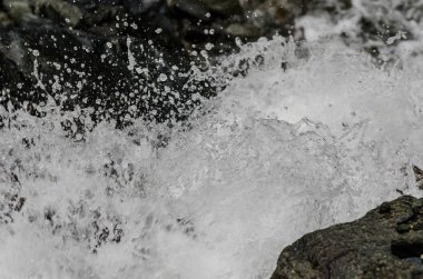 wild brook with splashing water