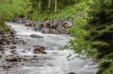 dağlarda vahşi brook