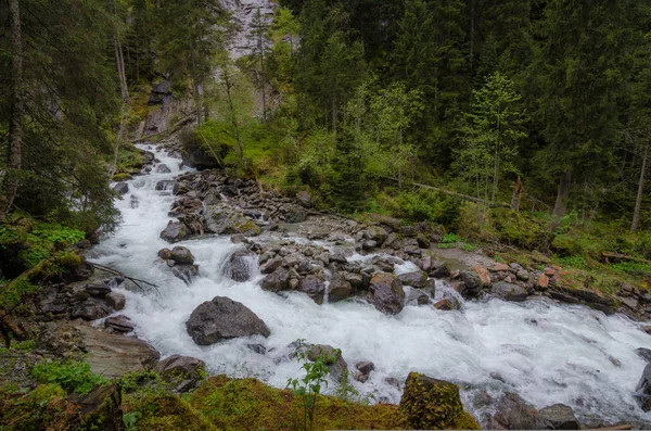 doğa manzara vahşi brook