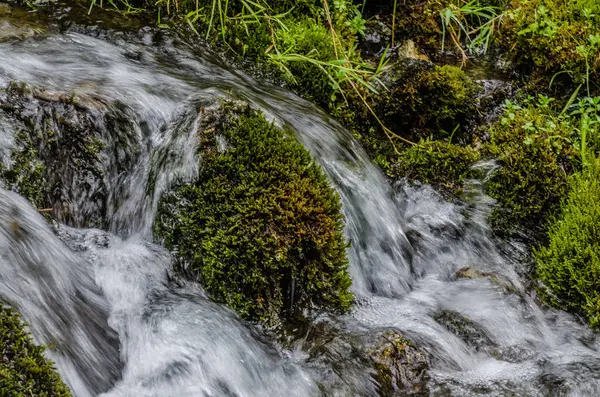 Natureza e água pura — Fotografia de Stock