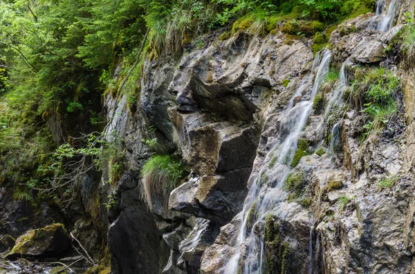 Kleiner Wasserfall und grüne Natur — Stockfoto