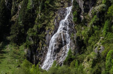 Yeşil doğada küçük şelale