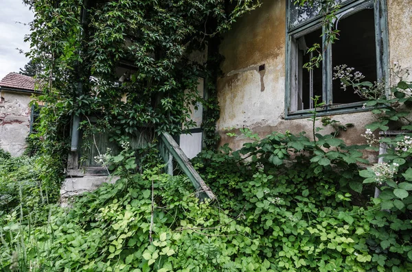 Övervuxen gammal villa med trädgård — Stockfoto