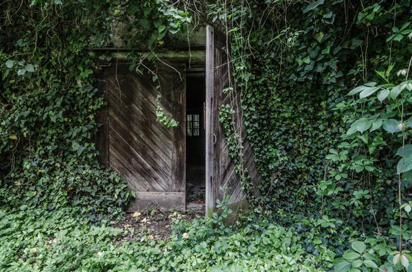 kale aşırı yetiştirilen ahşap kapı