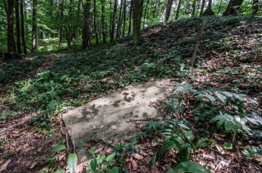 Ormandaki mezarlık.