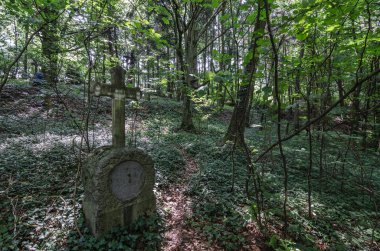 Orman mezarlığında mezar