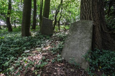 iki terk edilmiş mezar