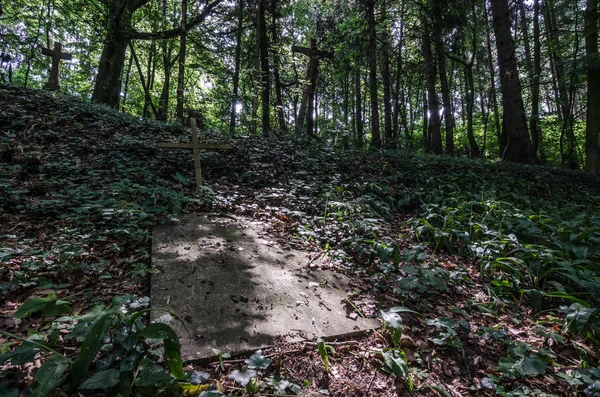 Gravesite orman mezarlığı üzerinde — Stok fotoğraf