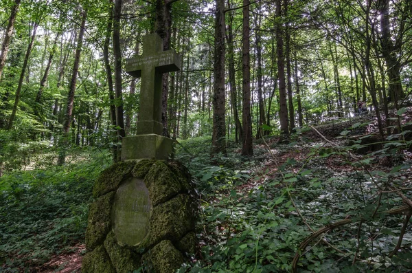 Eski orman Mezarlığı — Stok fotoğraf