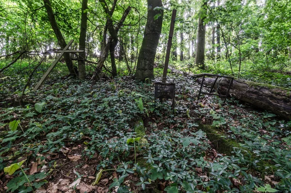Staré hrobky v lese — Stock fotografie