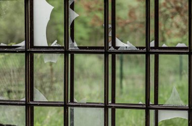 demir cam bölmeleri ile ızgara