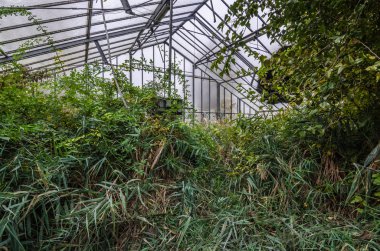 doğa ile terk edilmiş piyasa Bahçesi