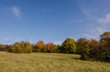 Mavi gökyüzü ile sonbahar manzarası