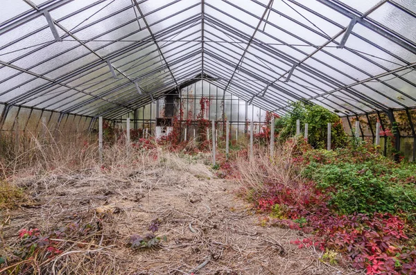 Abandoned market garden in autumn — Stock Photo, Image