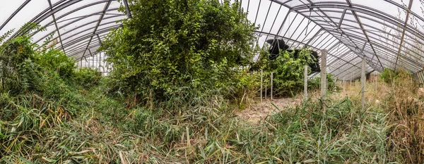 Opuštěné operace market garden panorama — Stock fotografie