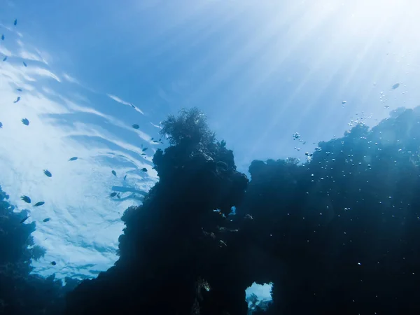 Mercan kayalığı görünümü aşağıdan — Stok fotoğraf