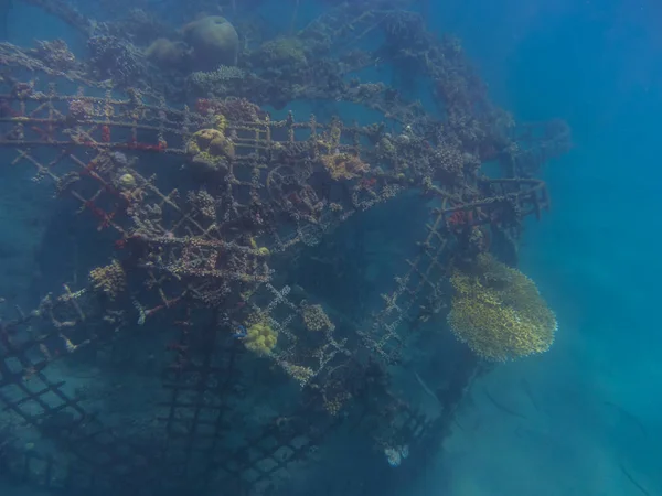 Строительство сетки с кораллами в море — стоковое фото