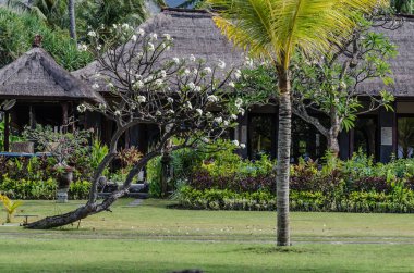 Otel kompleksi güzel bahçe