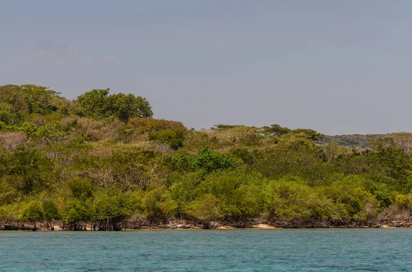 Playa con manglares — Foto de Stock