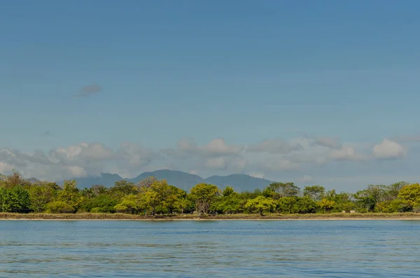 Stranden med träd vid havet — Stockfoto