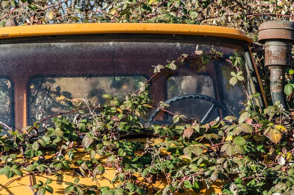 Övervuxen fordons detaljvy — Stockfoto