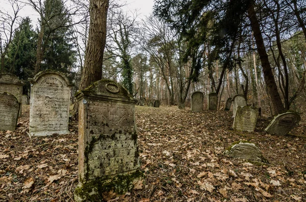Lápides em um cemitério florestal — Fotografia de Stock