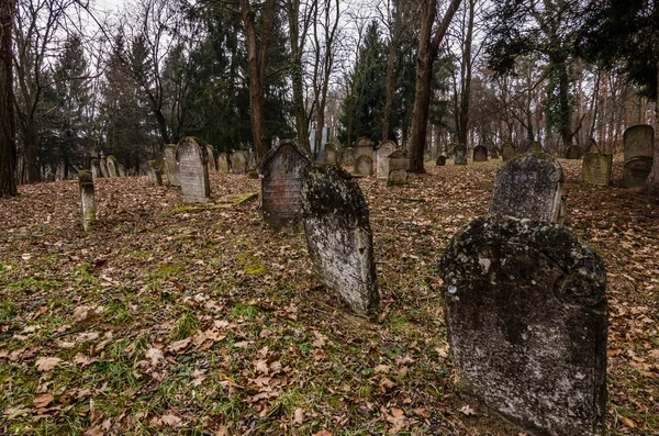 Leaning gravestones on forest cemetery — Stock Photo, Image