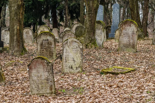 Old grave stones Jewish cemetery — Stock Photo, Image