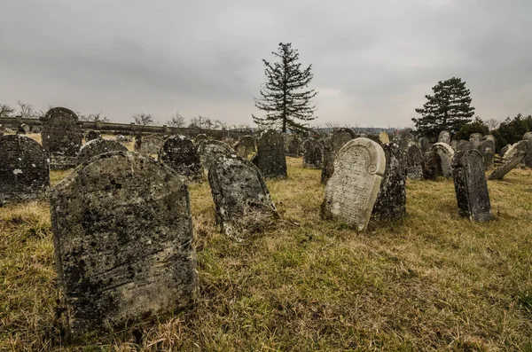 묘지에서 자란된 묘비 — 스톡 사진