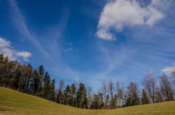 Paisagem com árvores de prado e céu — Fotografia de Stock