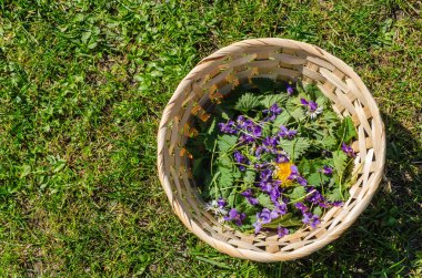 Sepette bahar çiçekleri