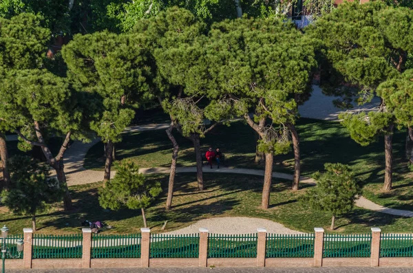 Parque y árboles en una ciudad —  Fotos de Stock