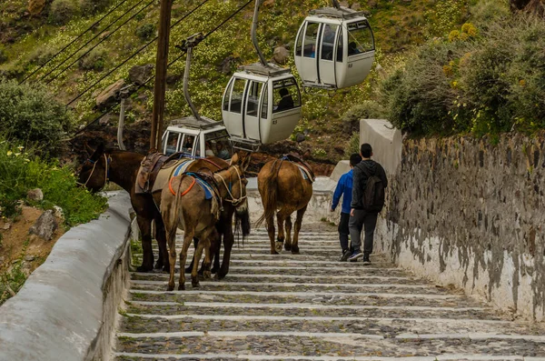 Strairs en ezel in santorini — Stockfoto