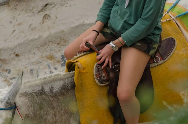 Woman and shorts on donkey — Stock Photo, Image