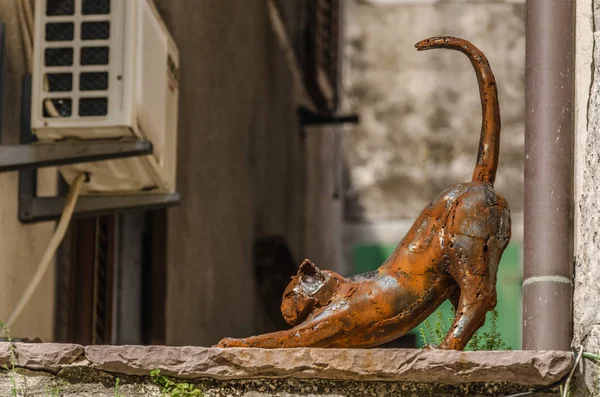 Kočka od železa ve starém městě — Stock fotografie