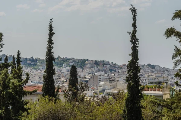 木々 とアテネの家 — ストック写真