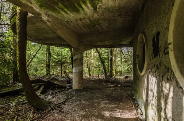 ormanda açık havuzu