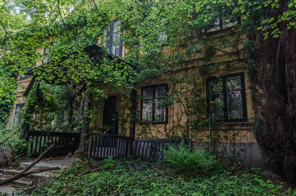 Ormanın içinde büyümüş evi — Stok fotoğraf