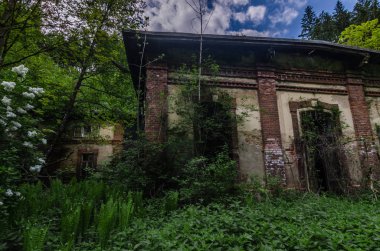 aşırı büyümüş Fabrika binaları ile